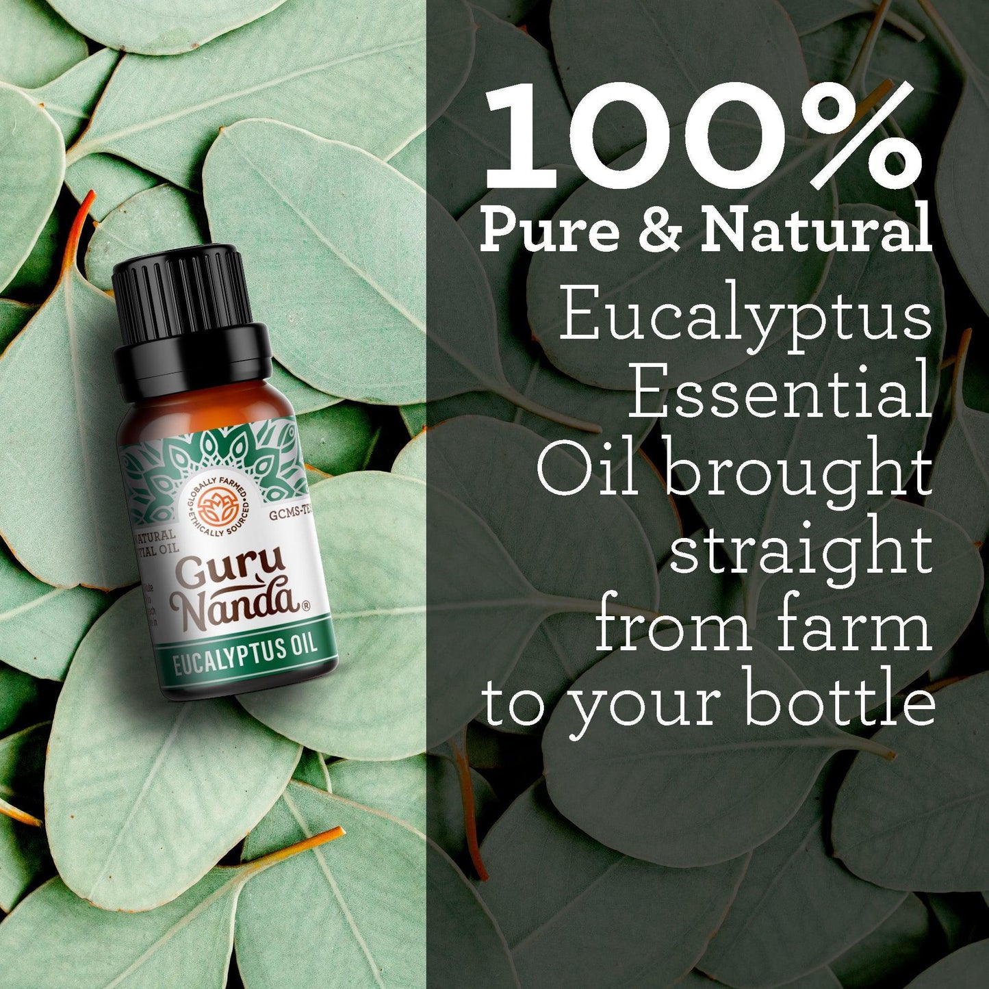 Eucalyptus Essential Oil, 15 ML – 1 Pack